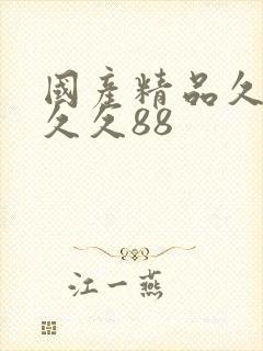 国产精品久久久久久88