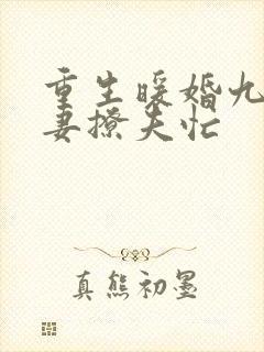 重生暖婚九零甜妻撩夫忙