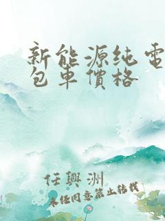 新能源纯电动面包车价格
