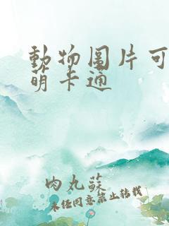 动物图片可爱呆萌卡通