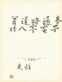 贫道略通拳脚txt八零电子书