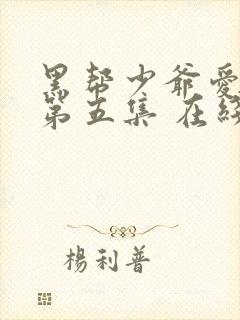 黑帮少爷爱上我第五集 在线观看