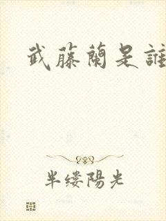 武藤兰是谁?