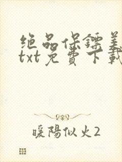 绝品保镖美总裁txt免费下载
