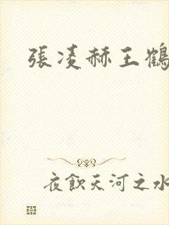 张凌赫王鹤棣