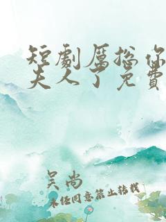 短剧厉总你找错夫人了免费观看
