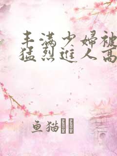 丰满少妇被粗大猛烈进人高清视频