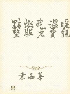 点燃我温暖你完整版免费观看