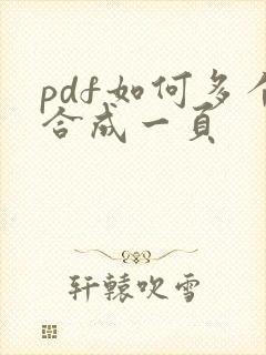 pdf如何多个合成一页