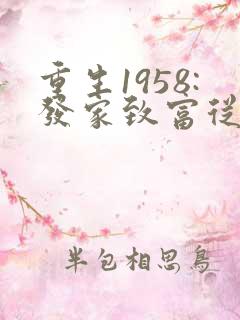 重生1958:发家致富从南锣鼓巷开始秦大宝