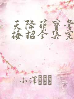 天降萌宝爹地请接招全集完整版