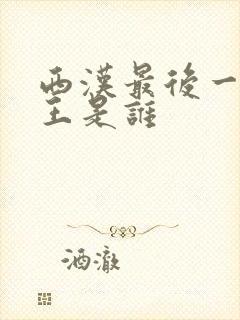 西汉最后一位帝王是谁