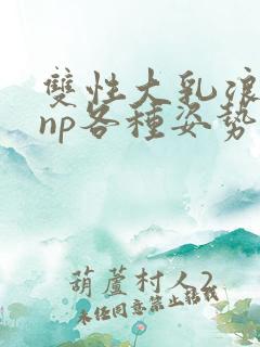 双性大乳浪荡受np各种姿势