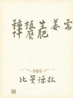 种植生姜需要施什么肥