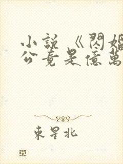 小说 《闪婚老公竟是亿万总裁》