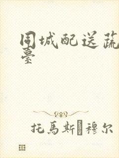 同城配送蔬菜平台