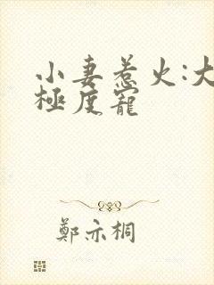 小妻惹火:大叔极度宠
