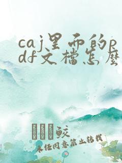 caj里面的pdf文档怎么打开