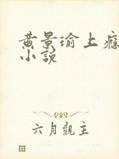 黄景瑜上瘾原著小说