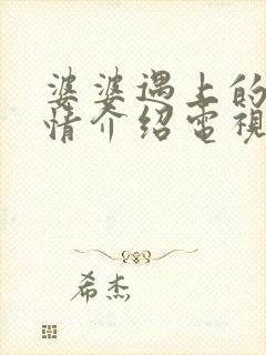 婆婆遇上的妈剧情介绍电视剧