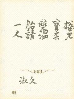 一胎双宝总裁大人请温柔免费阅读