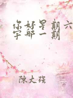 你好星期六王安宇哪一期