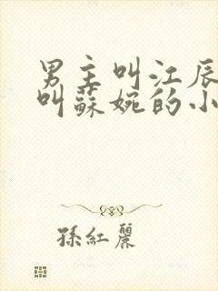 男主叫江辰女主叫苏婉的小说