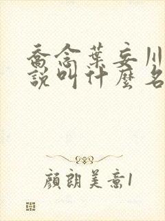 乔念叶妄川的小说叫什么名字