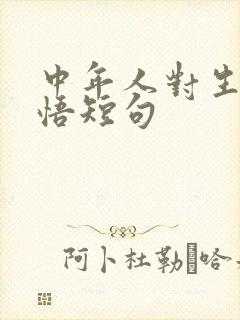 中年人对生活感悟短句