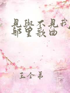 见与不见我都在那里歌曲