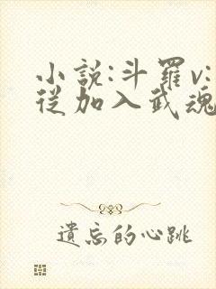 小说:斗罗v:从加入武魂殿开始