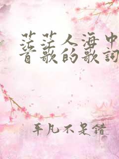 茫茫人海中是哪首歌的歌词