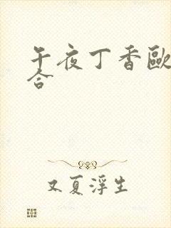 午夜丁香欧美综合
