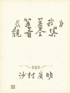 《等着我》免费观看全集