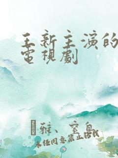 王新主演的全部电视剧