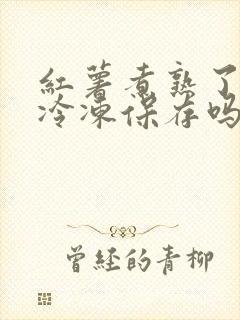 红薯煮熟了可以冷冻保存吗