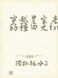 穿越农家老闺女的种田文txt