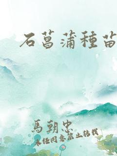 石菖蒲种苗价格