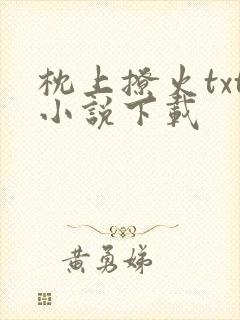 枕上撩火txt小说下载