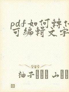 pdf如何转化可编辑文字的word