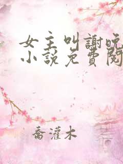 女主叫谢晚凝的小说免费阅读