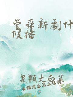 曾舜新剧什么时候播
