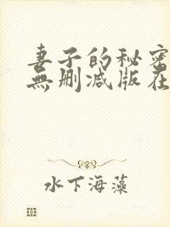 妻子的秘密日剧无删减版在线观看