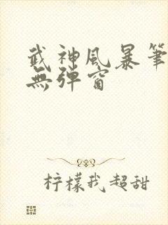 武神风暴笔趣阁无弹窗