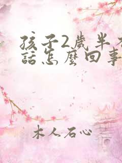 孩子2岁半不说话怎么回事