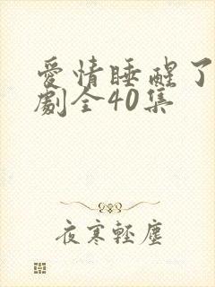 爱情睡醒了电视剧全40集