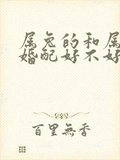 属兔的和属兔的婚配好不好呢