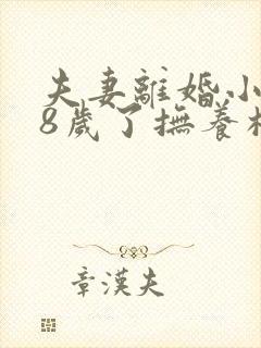 夫妻离婚小孩18岁了抚养权怎么判