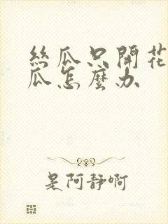 丝瓜只开花不结瓜怎么办