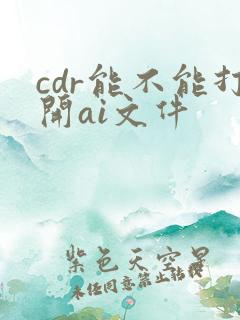 cdr能不能打开ai文件